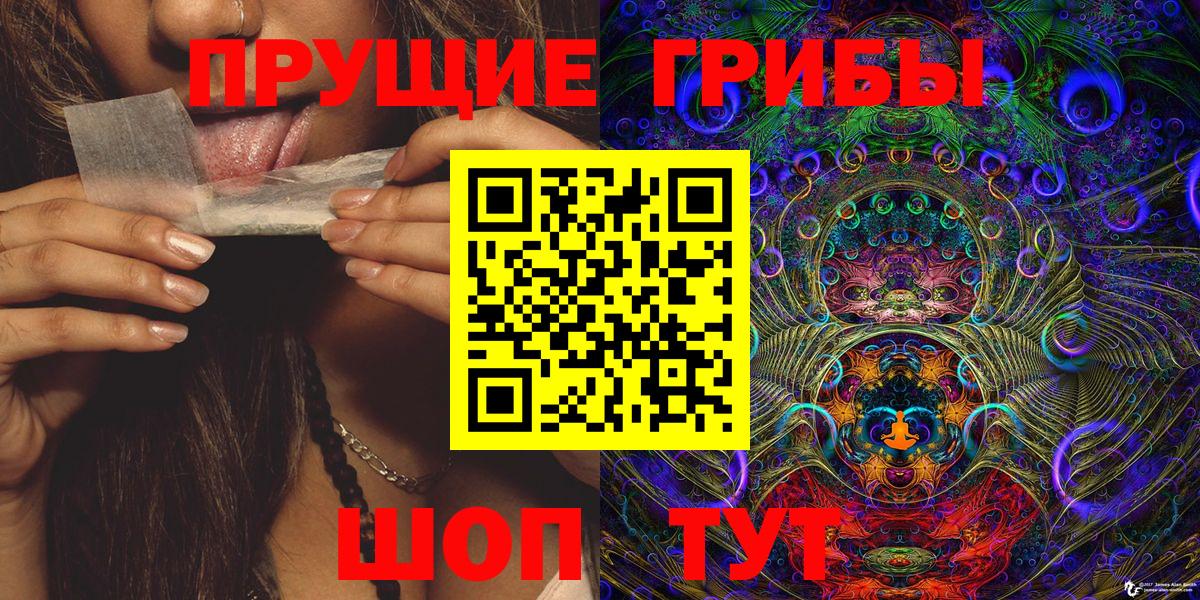Галлюциногенные грибы Psilocybine cubensis Бугуруслан