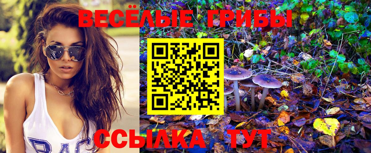 Бугуруслан  Галлюциногенные грибы Magic Shrooms  где купить   Вход с VPN 
